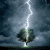 lightningtree.gif